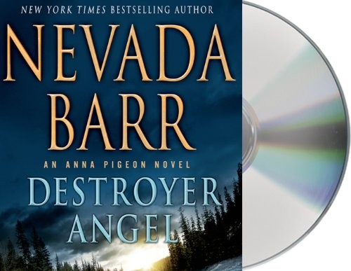 Destroyer Angel