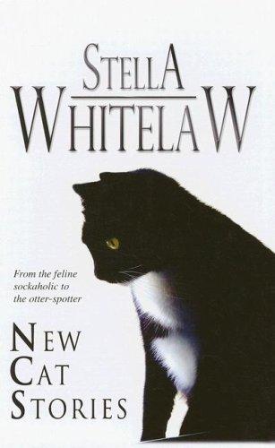 New Cat Stories