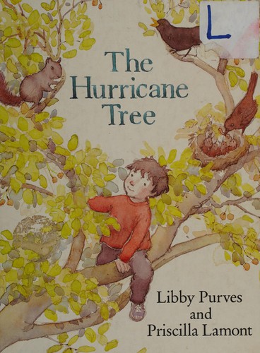 Hurricane Tree