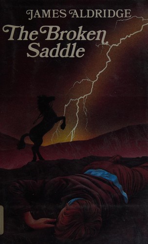 The broken saddle