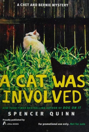 Cat Was Involved