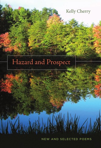 Hazard and prospect