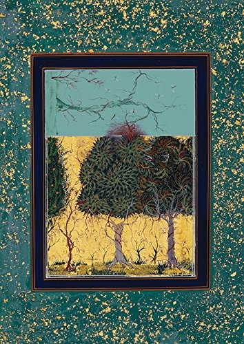 Imran Qureshi