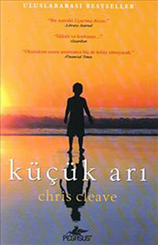 Kucuk Ari