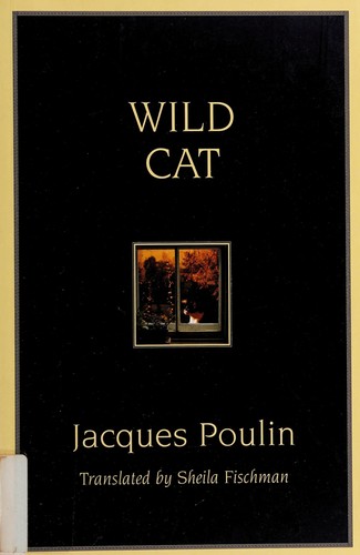 Wild cat