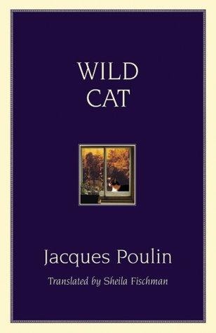 Wild Cat