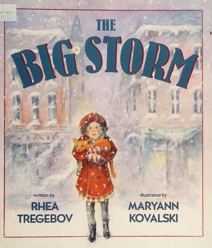 The big storm
