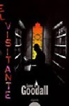 El visitante