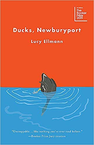 Ducks, Newburyport