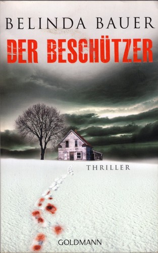 Der Beschützer
