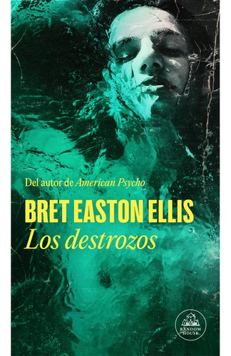 Los destrozos
