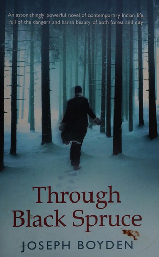 Through black spruce