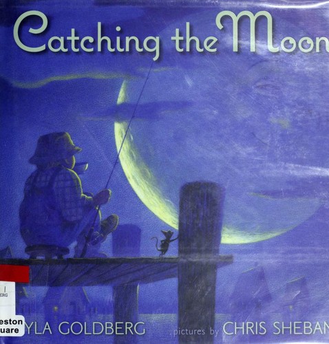 Catching The Moon