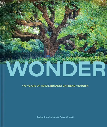 Wonder