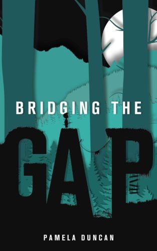 Bridging the Gap