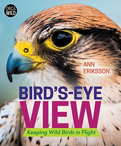 Bird's-Eye View