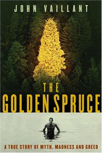 Golden Spruce
