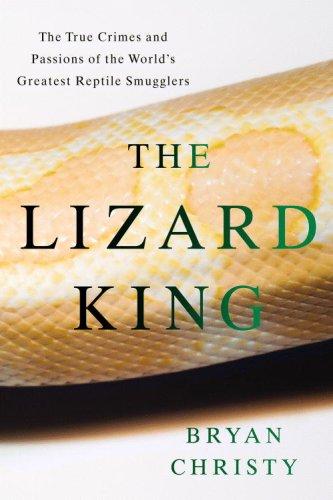 Lizard King