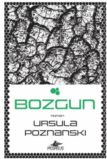 Bozgun