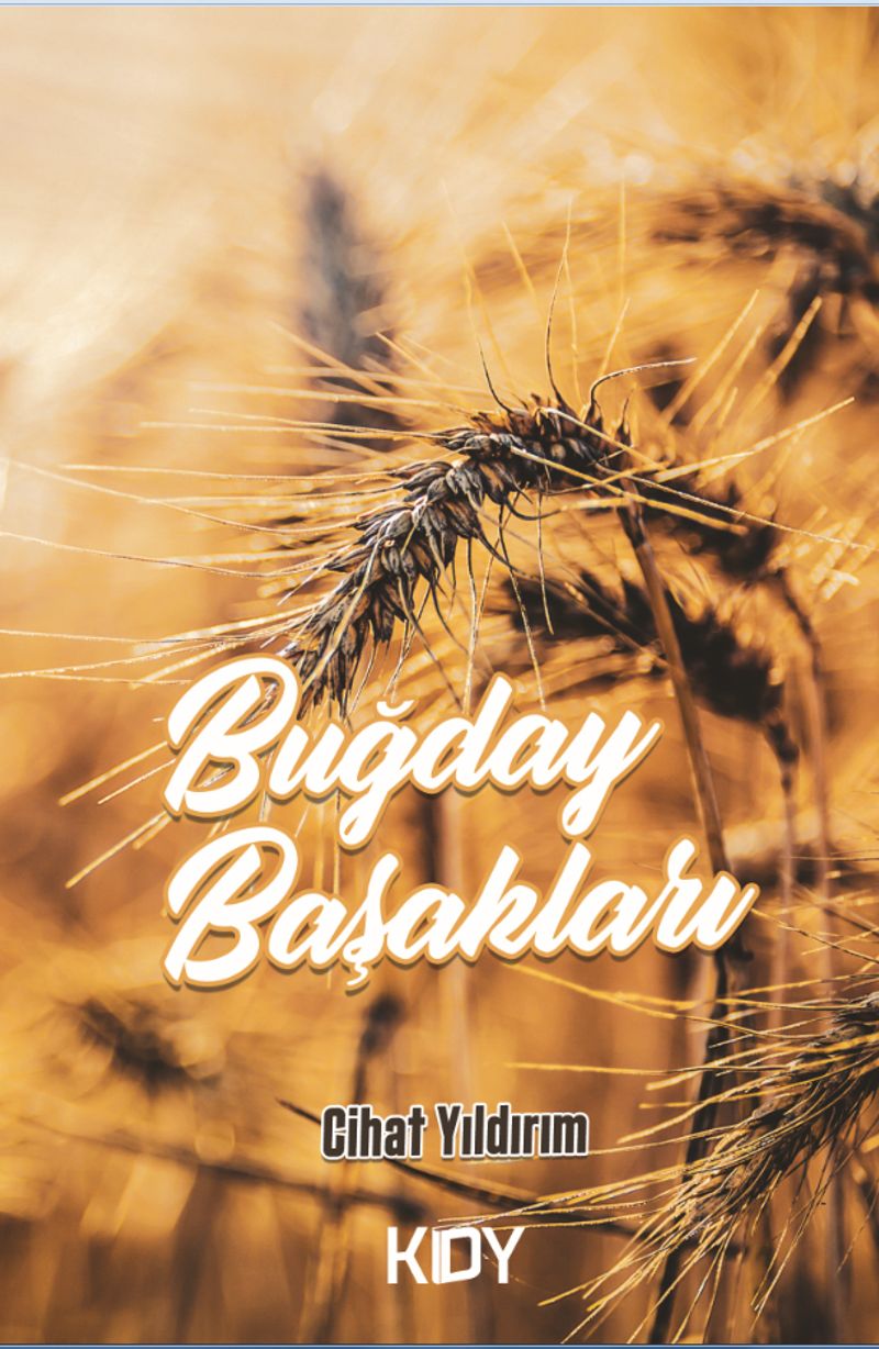 Buğday Başakları