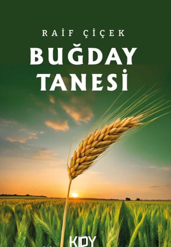 Buğday Tanesi