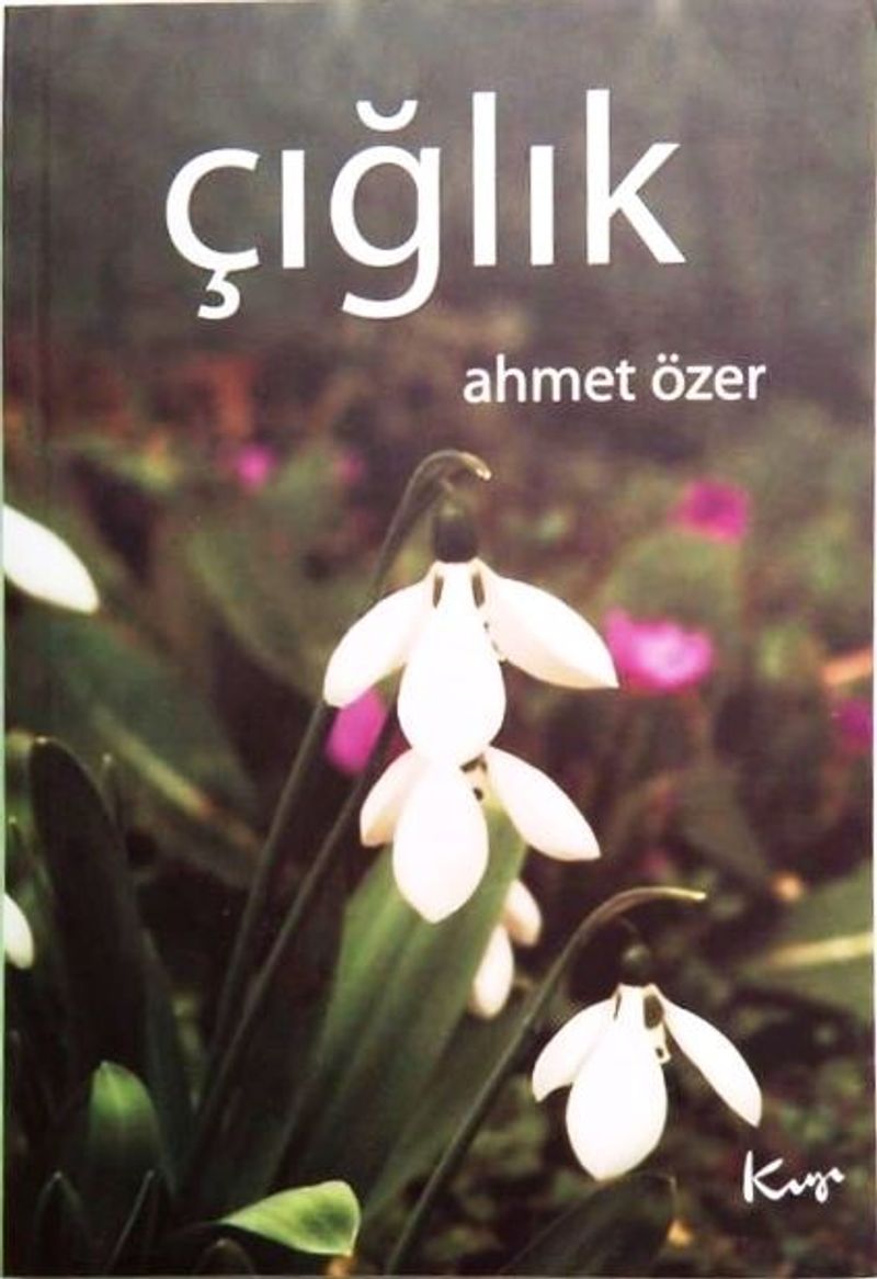 Çığlık