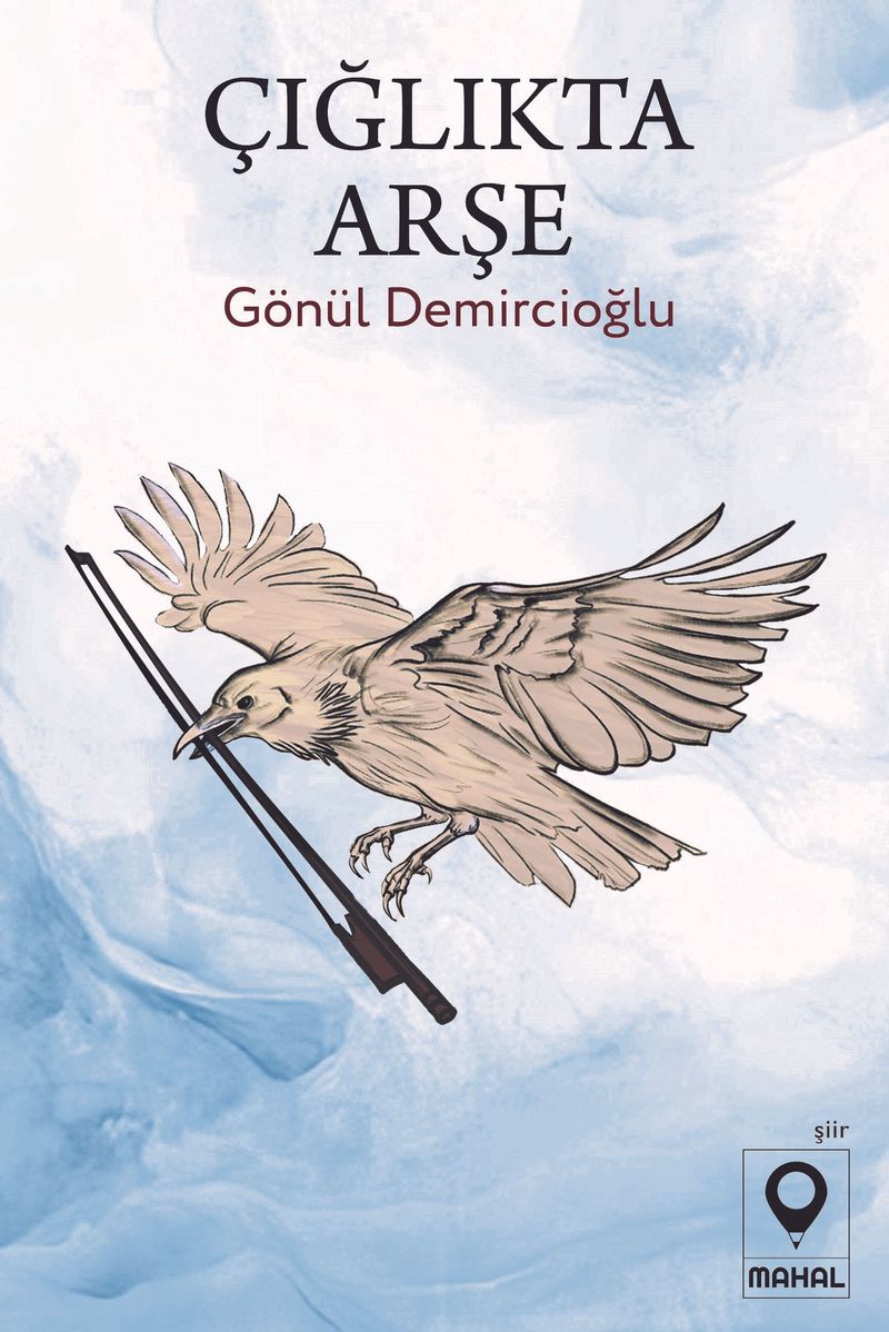 Çığlıkta Arşe