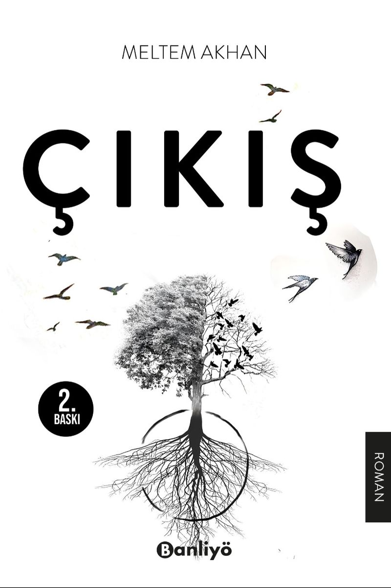 Çıkış