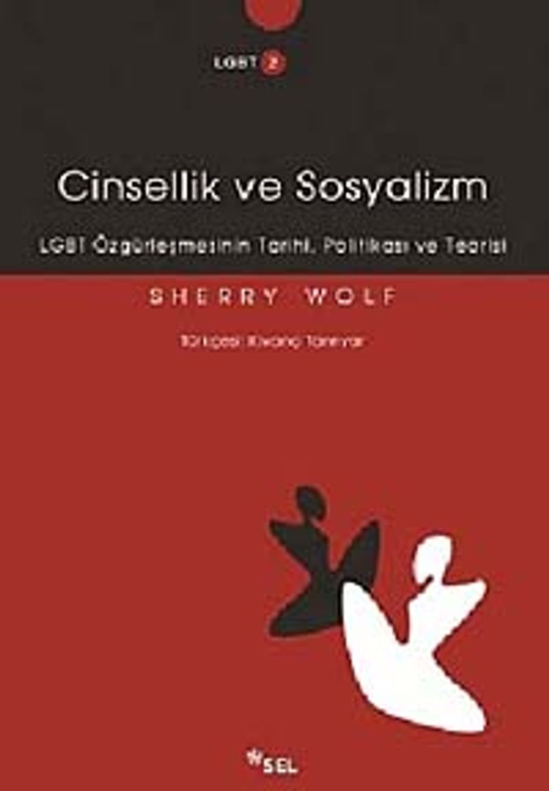 Cinsellik ve Sosyalizm  LGBT Özgürleşmesinin Tarihi, Politikası ve Teorisi