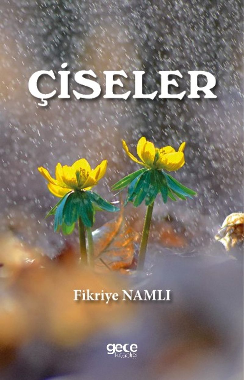 Çiseler