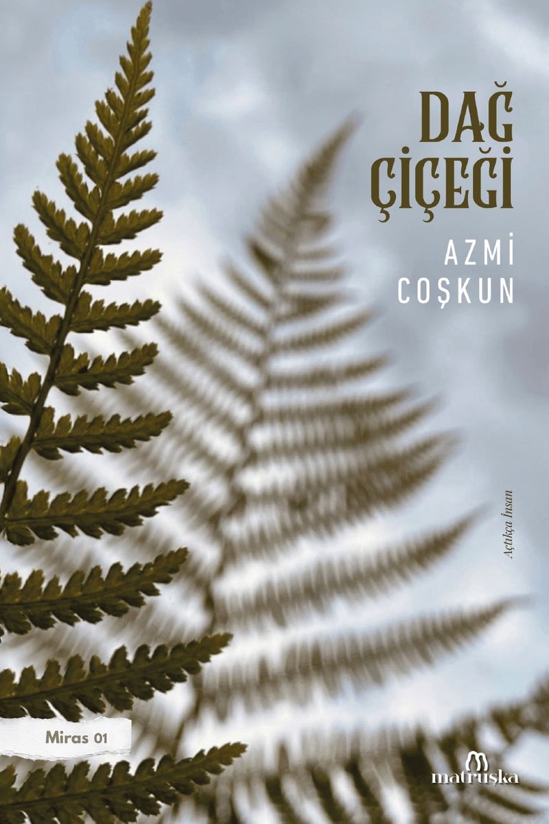 Dağ Çiçeği