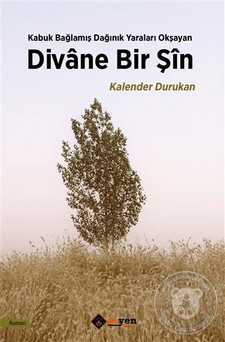 Divane Bir Şin