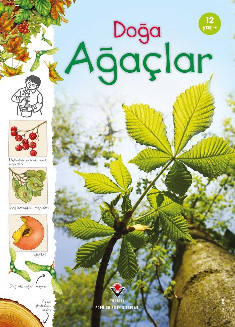 Doğa: Ağaçlar