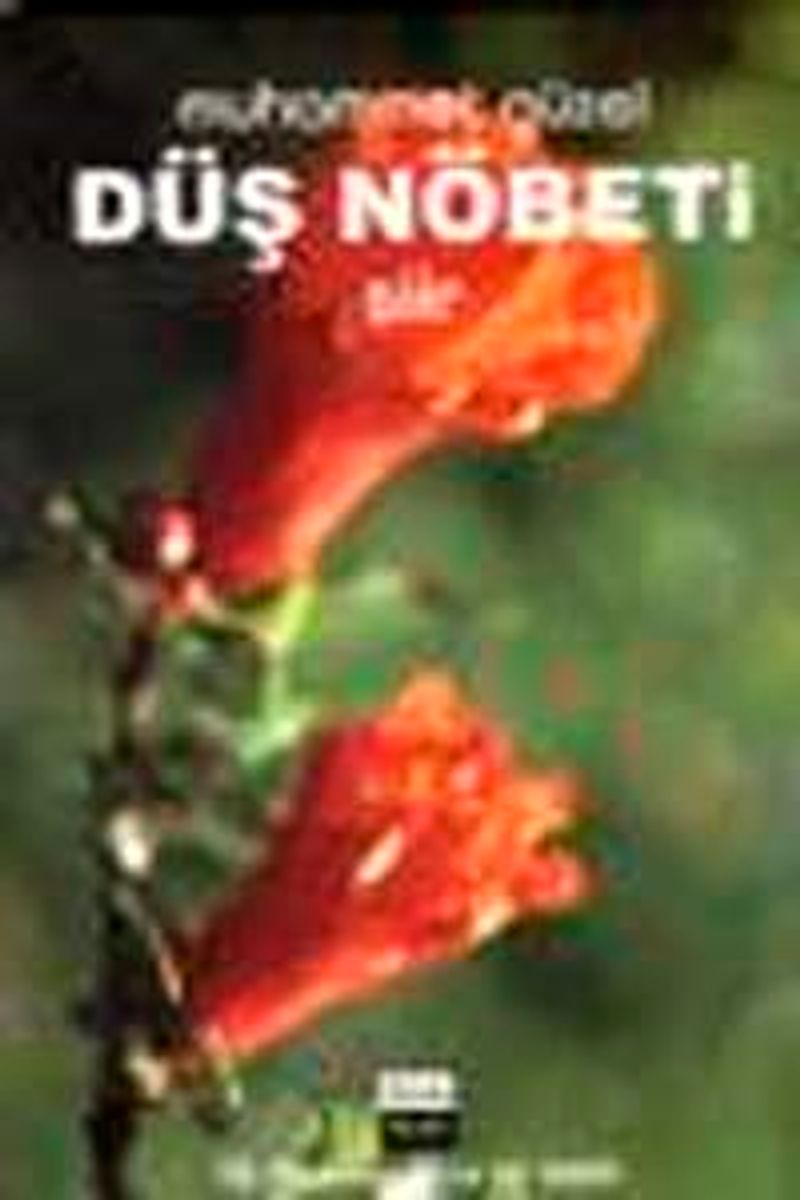Düş Nöbeti