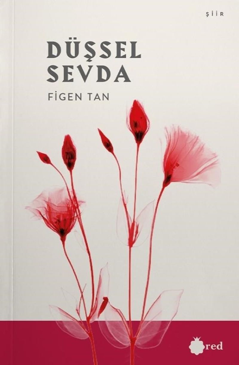 Düşsel Sevda