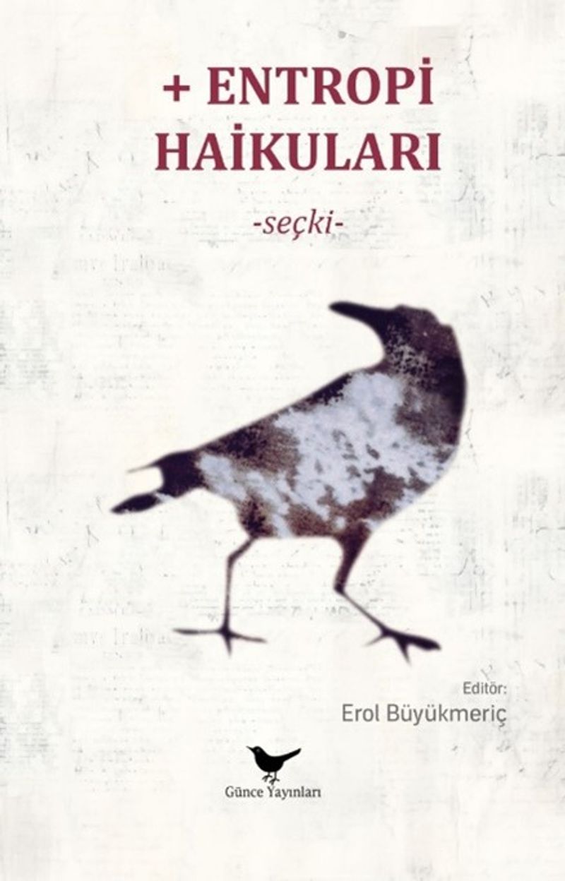 Entropi Haikuları