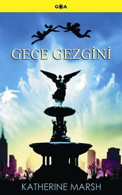 Gece Gezgini