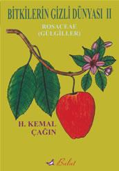 Gülgiller