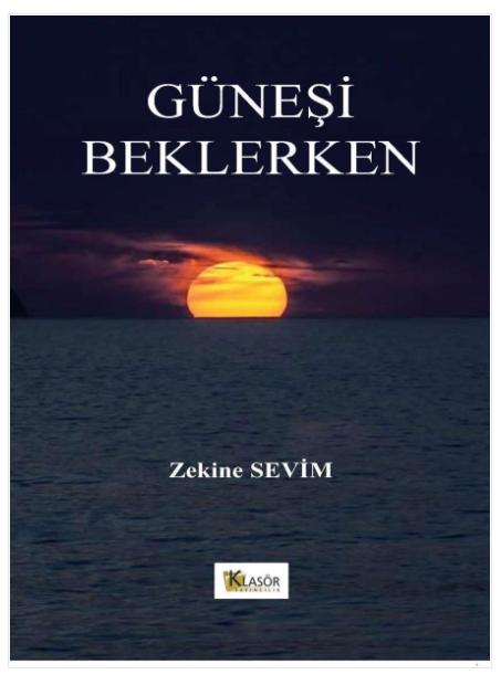 Güneşi Beklerken