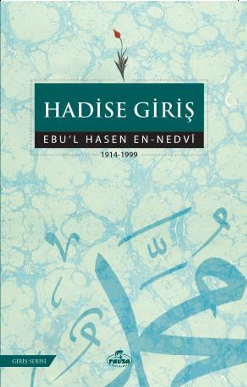 Hadise Giriş