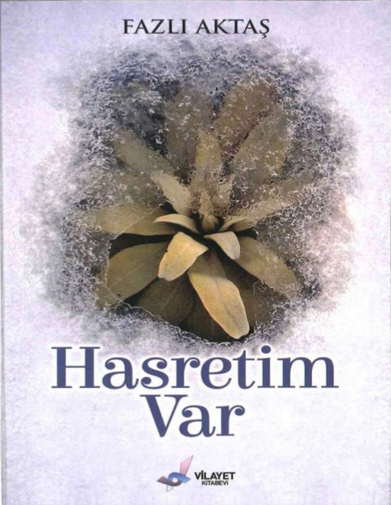 Hasretim Var