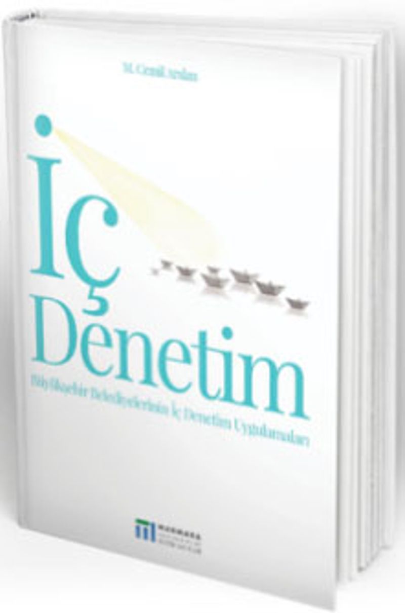 İç Denetim  Büyükşehir Belediyelerinin İç Denetim Uygulamaları
