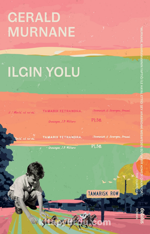Ilgın Yolu