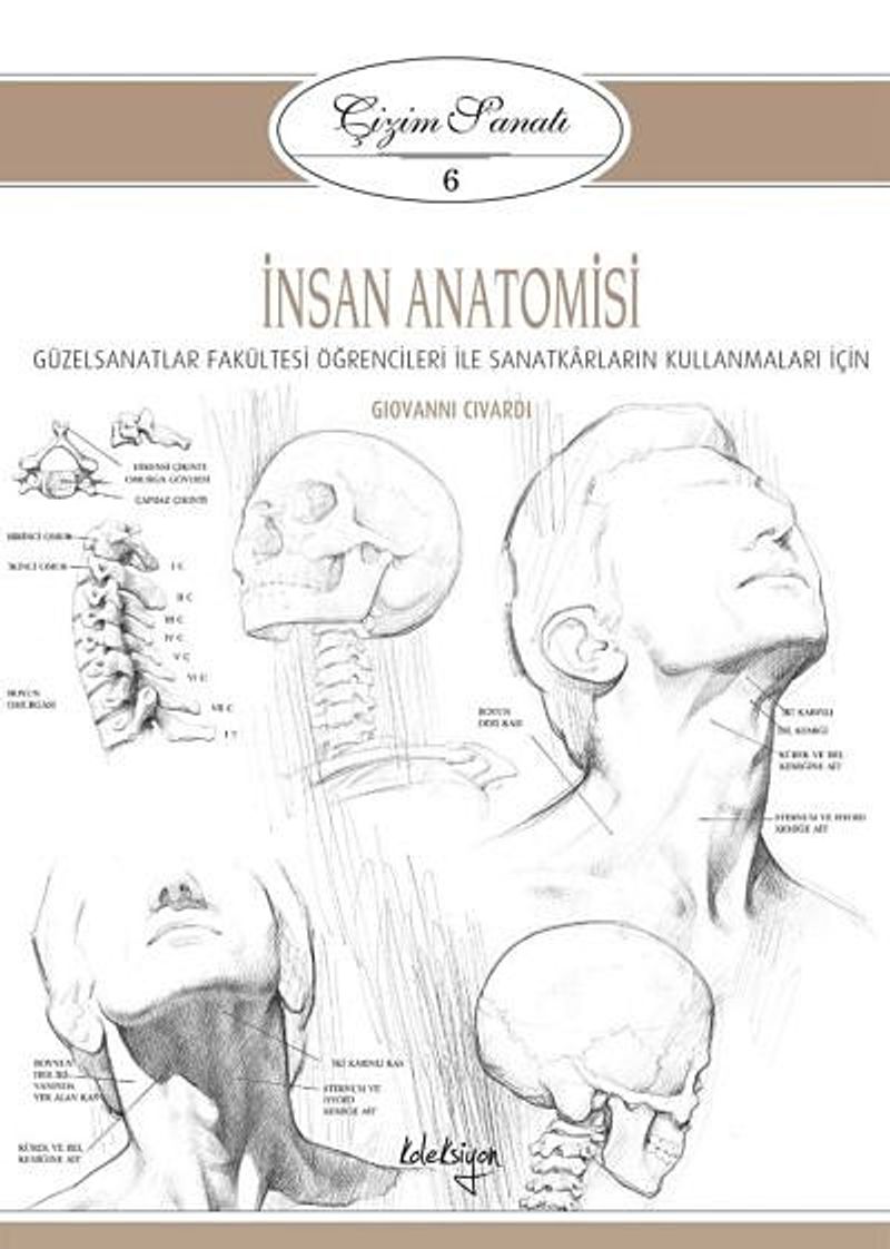 İnsan Anatomisi / Çizim Sanatı 6   Güzel Sanatlar Fakültesi Öğrencileri ile Sanatkarların Kullanmaları İçin