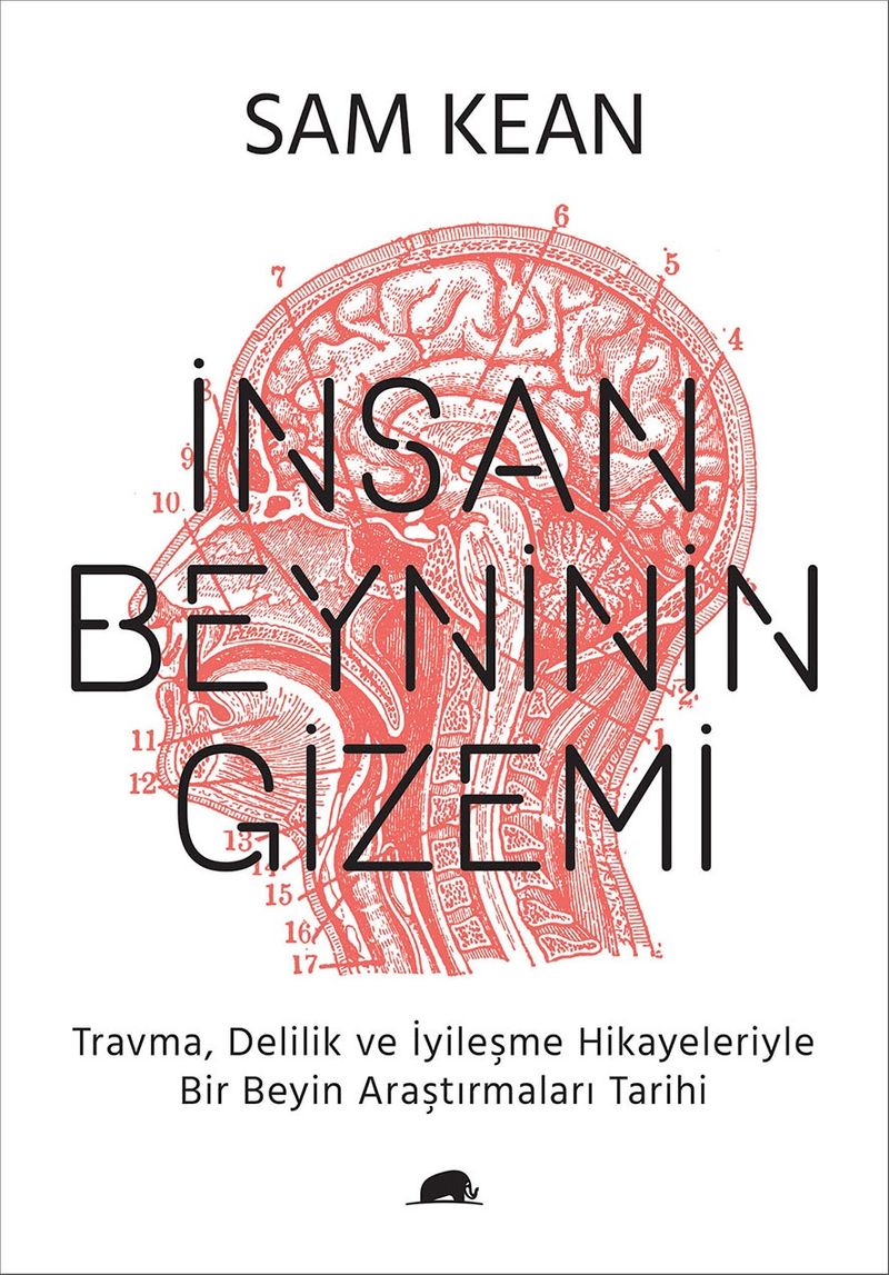 İnsan Beyninin Gizemi – Travma, Delilik ve İyileşme Hikayeleriyle Bir Beyin
