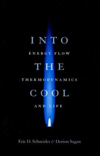 Into the Cool