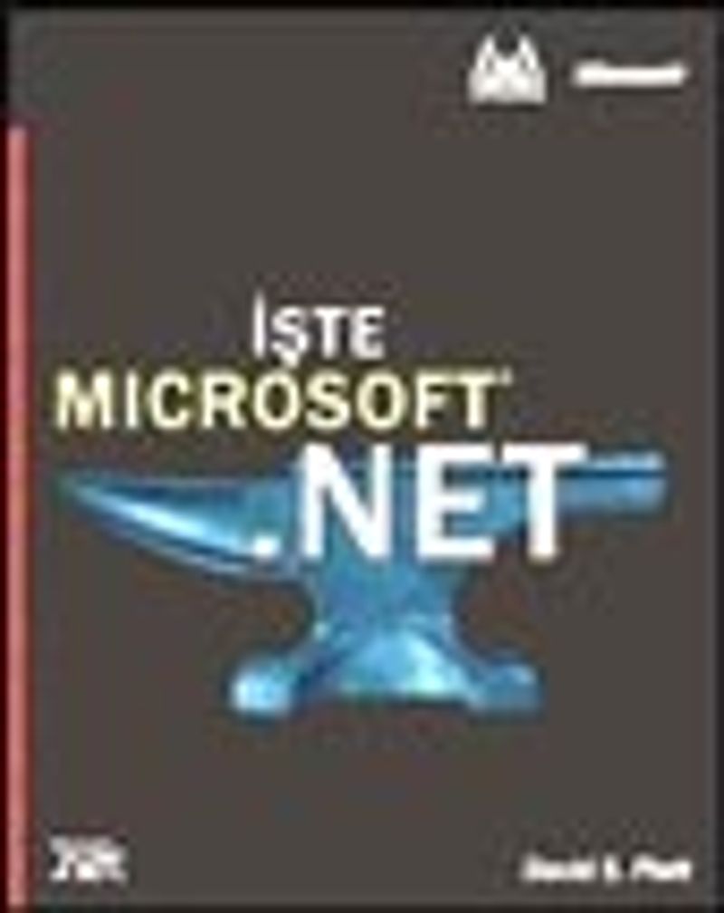 İşte Microsoft Net