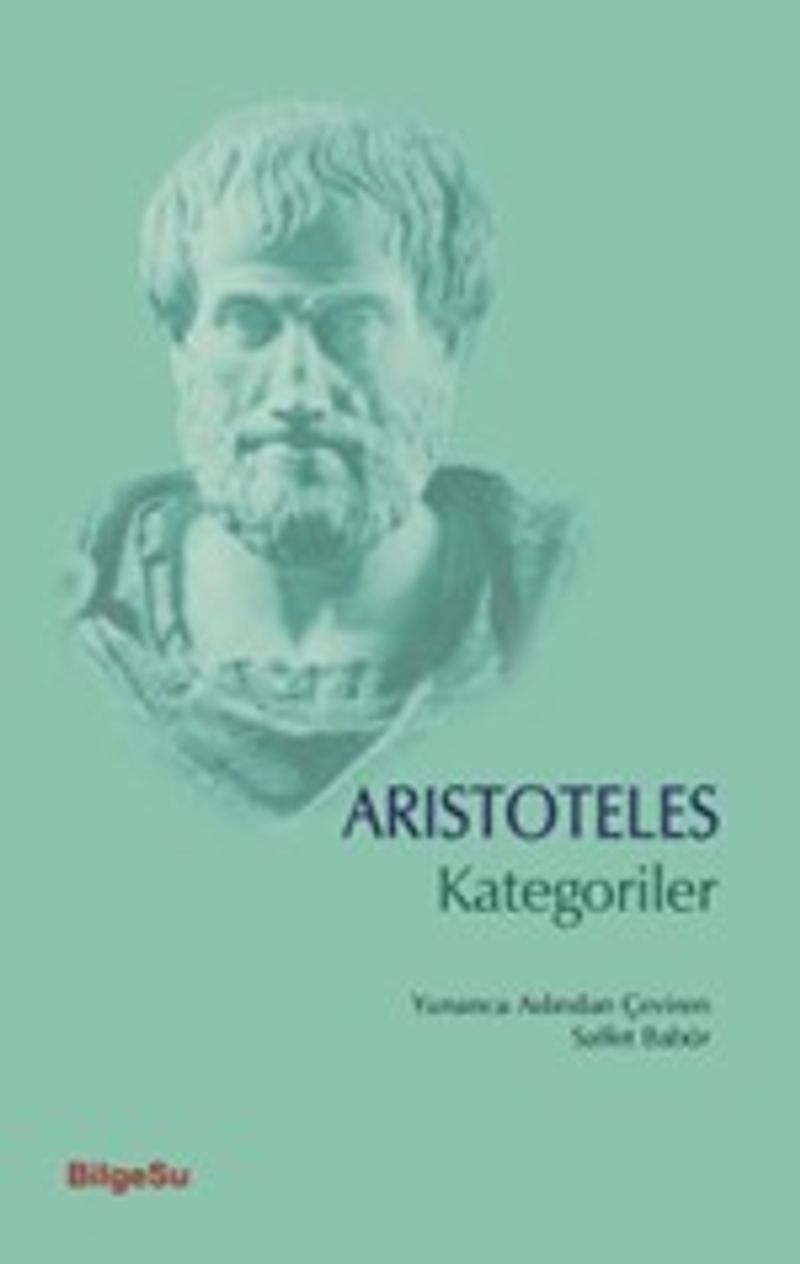 Kategoriler
