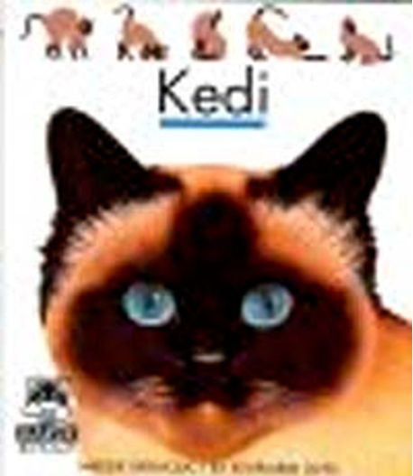 Kedi