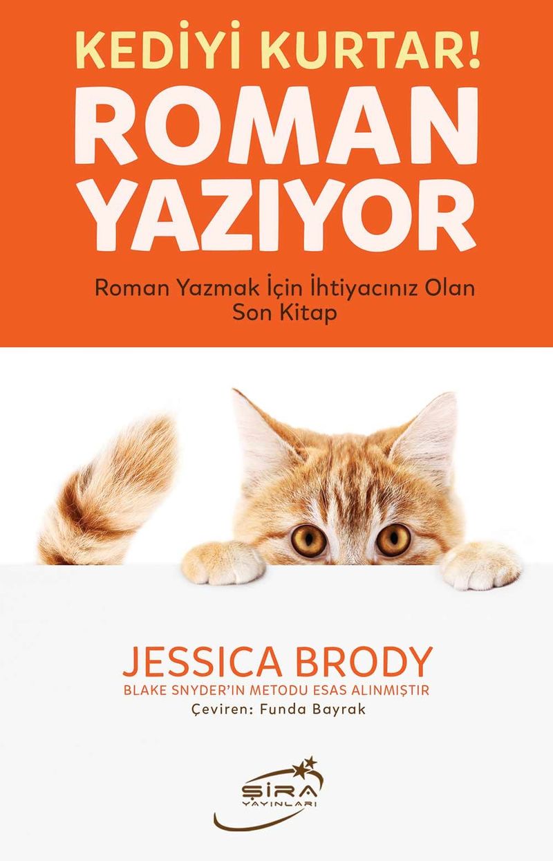 Kediyi Kurtar Roman Yazıyor  Roman Yazmak İçin İhtiyacınız Olan Son Kitap
